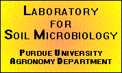 Lab soil micro logo