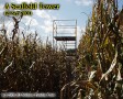 A scaffold tower for maze spotters