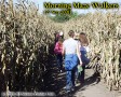 Maze walkers