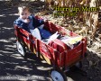 Baby in little red wagon