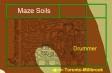Soils in maze area