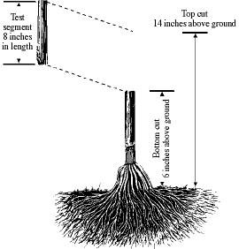 Source of image: http://www.ianr.unl.edu/pubs/fieldcrops/nf491.htm