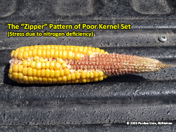 The "zipper" pattern of poor kernel set