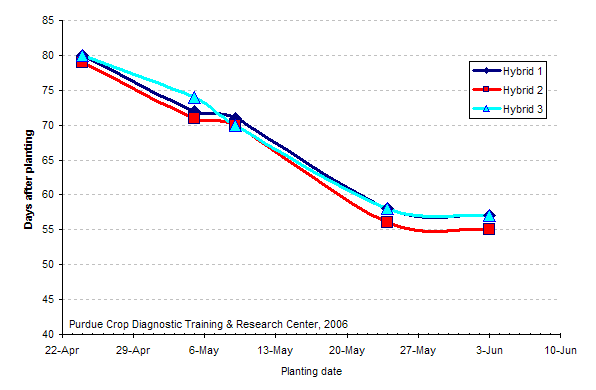 Days from planting to silking