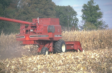 Harvesting corn