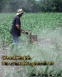 Dirty job
