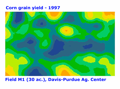 Corn grain yield 1997
