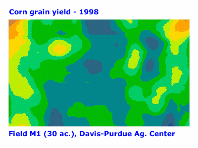 Corn grain yield 1998