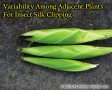 Plant to plant variability for silk clipping