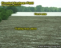 Flooded soy field