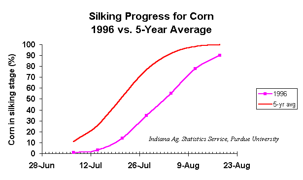 Corn silking progress
