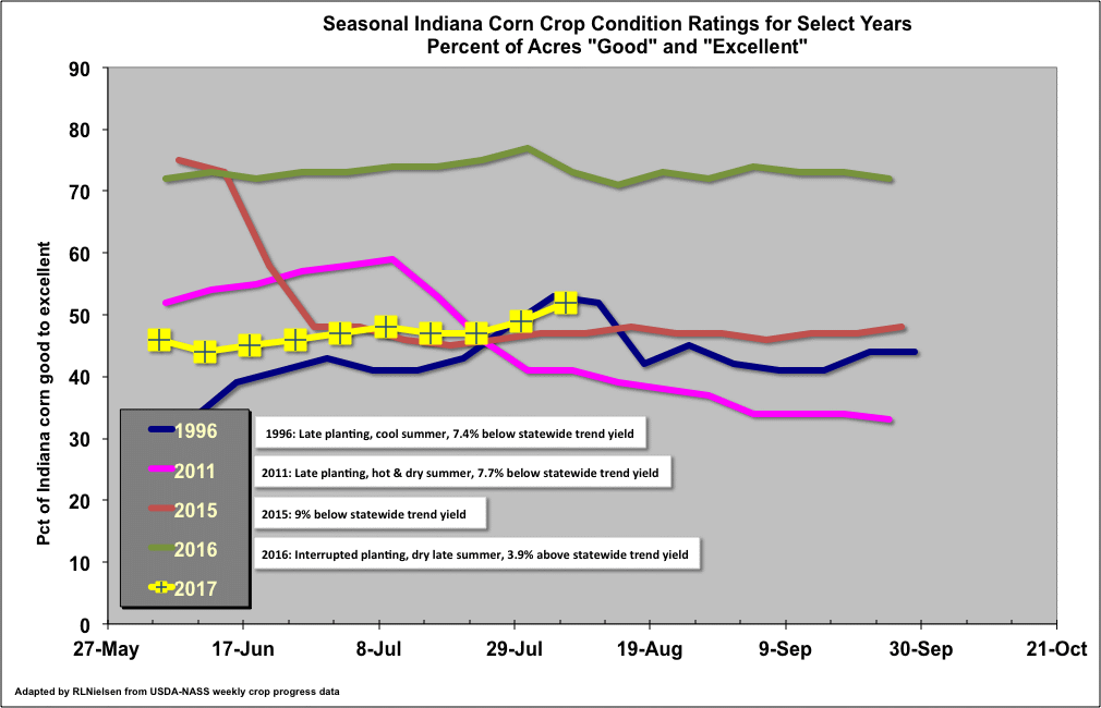 Current Indiana Corn Crop Conditions