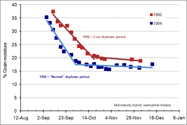 Corn Maturity Chart