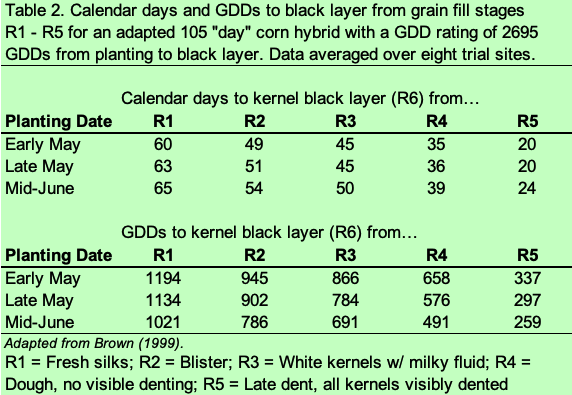 Corn Maturity Chart