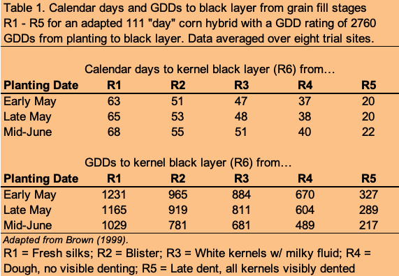 Corn Maturity Chart