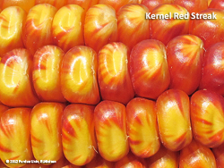 Kernel red streak