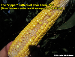 The "zipper" pattern of poor kernel set