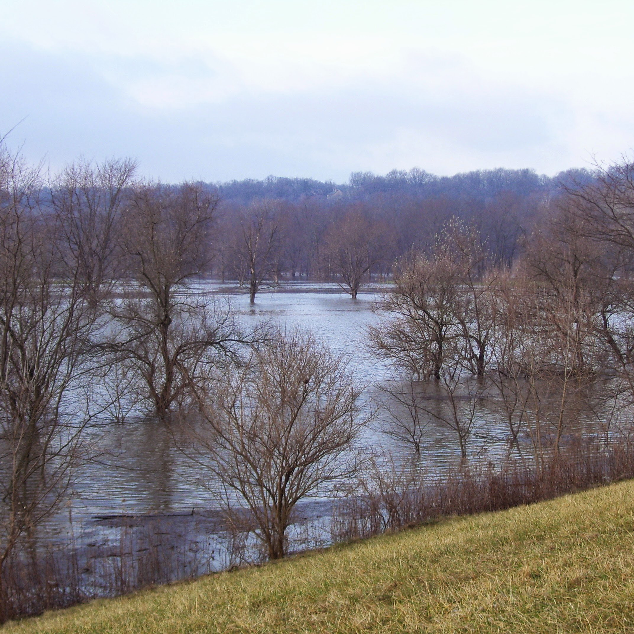Wabash River with Dog