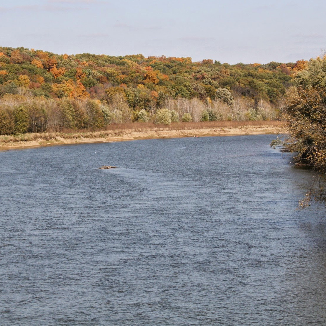 Wabash River with Dog