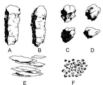 Soil Structure