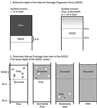 figure18